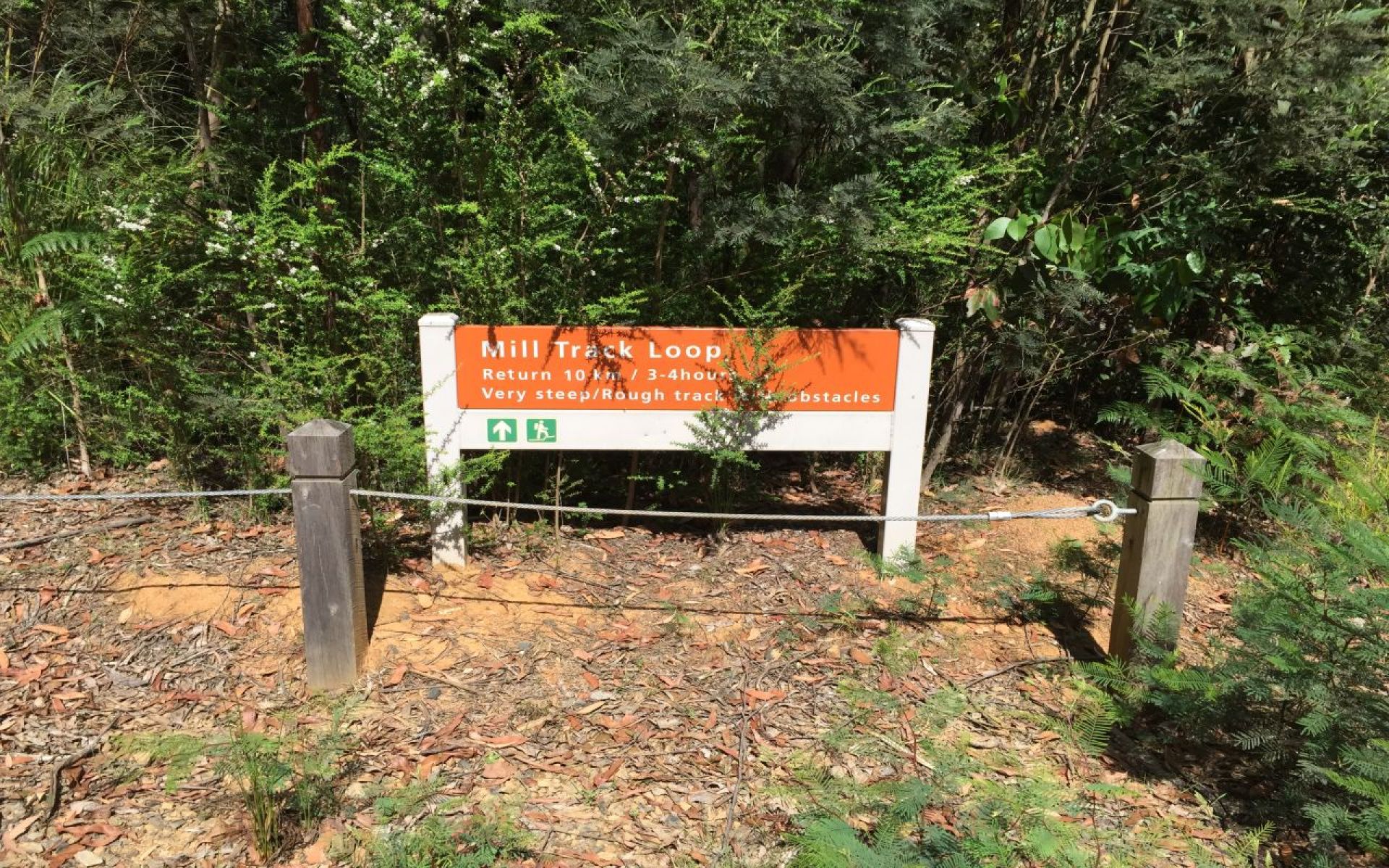 A sign under trees reads 'Mill Track Loop'