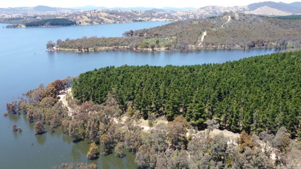 Aerial view of a campground in the forest with Lake Eildon in the distance