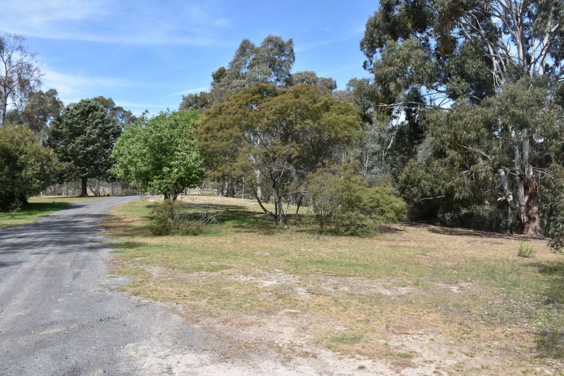 The gravel track heading into the back of the campground with lots of space for camping