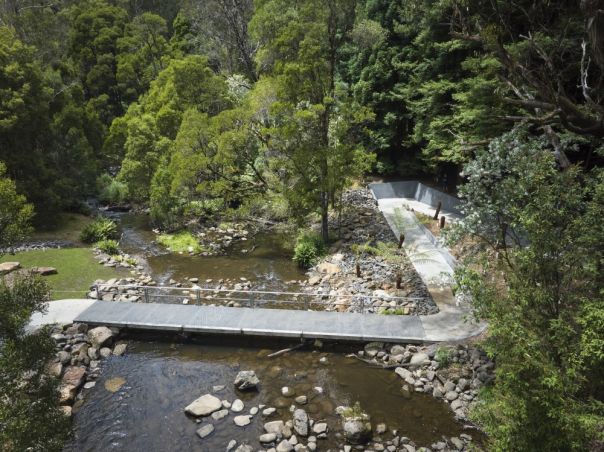 A concrete and metal walkway goes over a small rocky river. A variety of green trees surround the area.