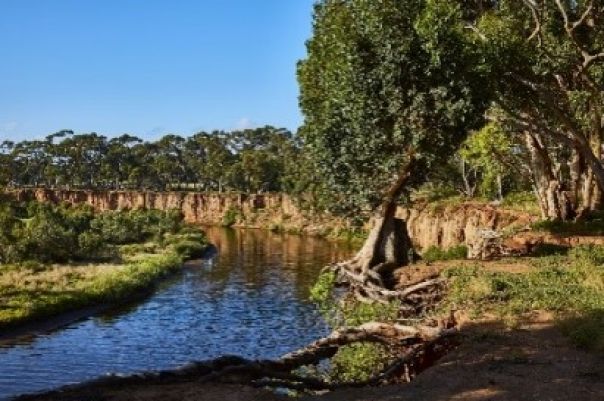 Werribee river regional park