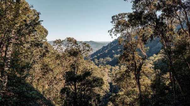 View of forest clad hills and distance valley and mountains