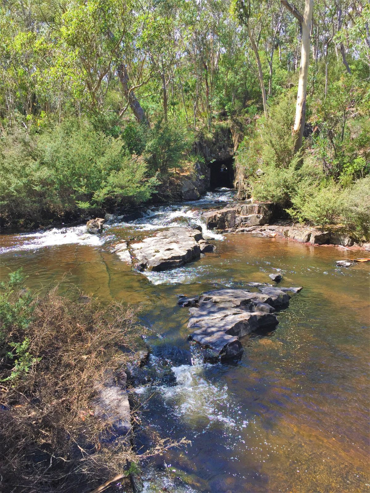 A view from the boardwalk of Delegate River Tunnel