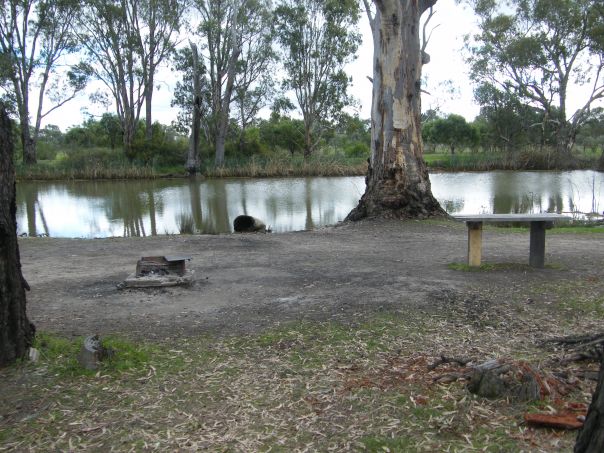 A picnic table on the banks of Gunbower Creek