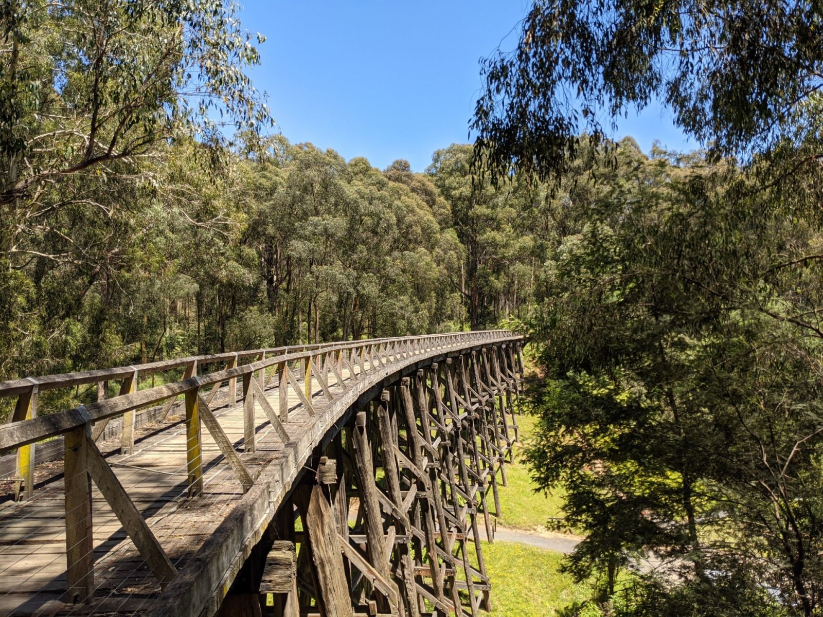 A tall and long timber trestle bridge stretches through the forest