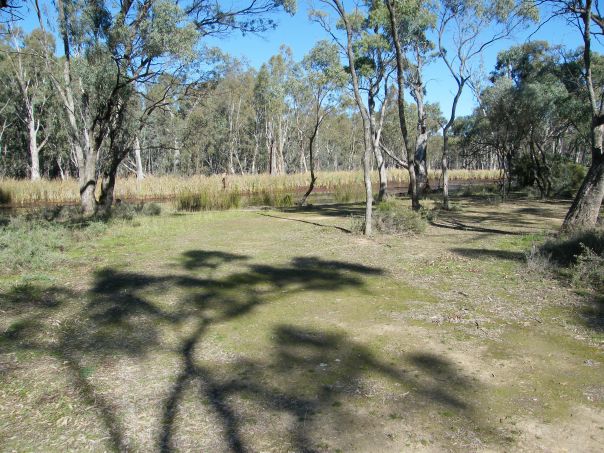 A flat grassy area next to a creek