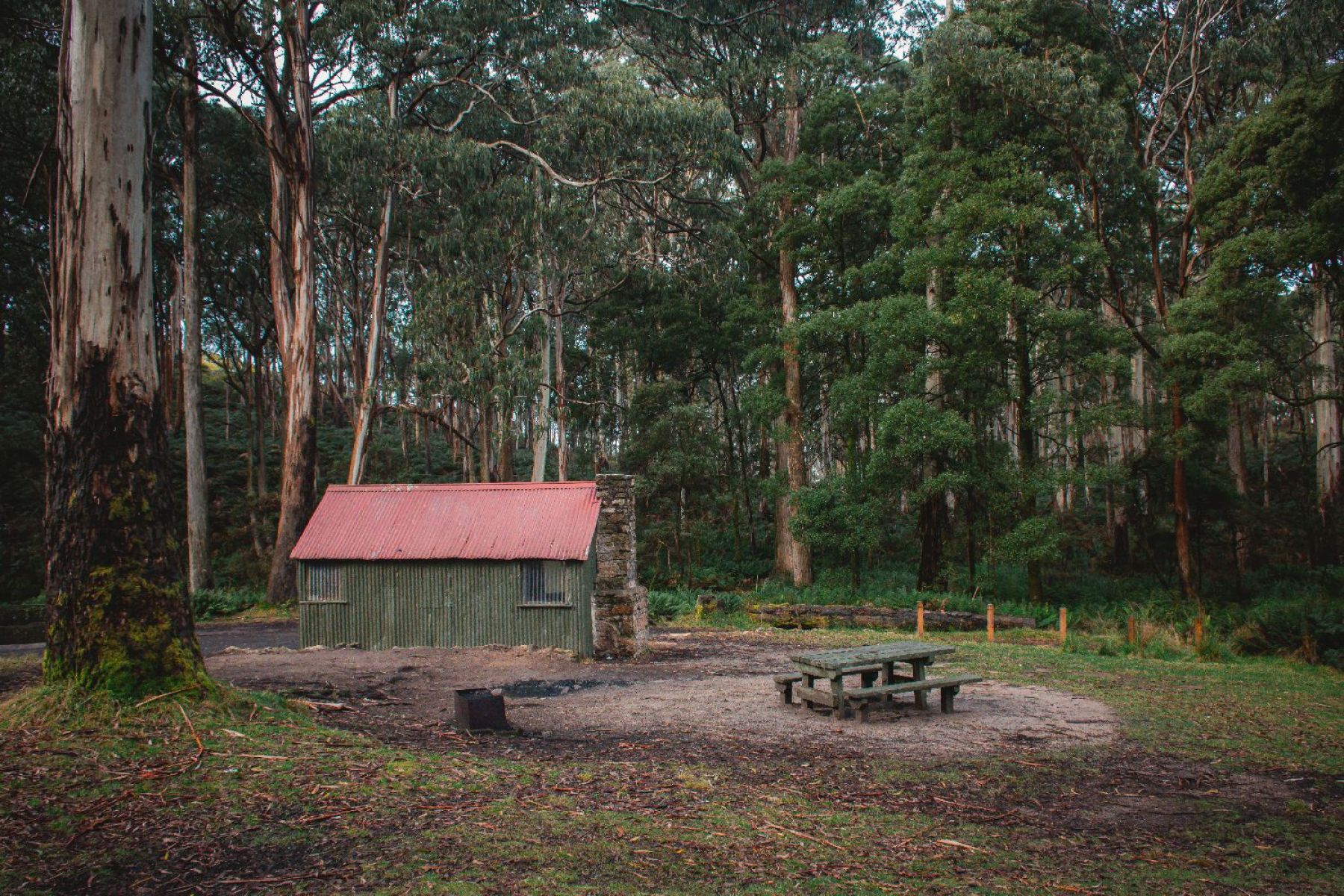 Mugwamp Hut in a forest clearing next to a picnic bench