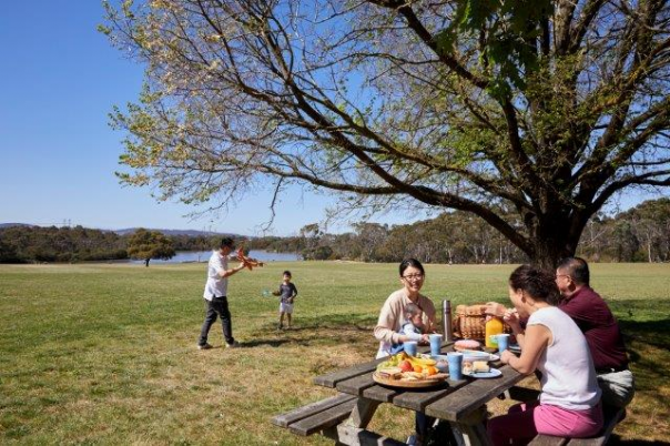 family picknicking at a park on a spark bench