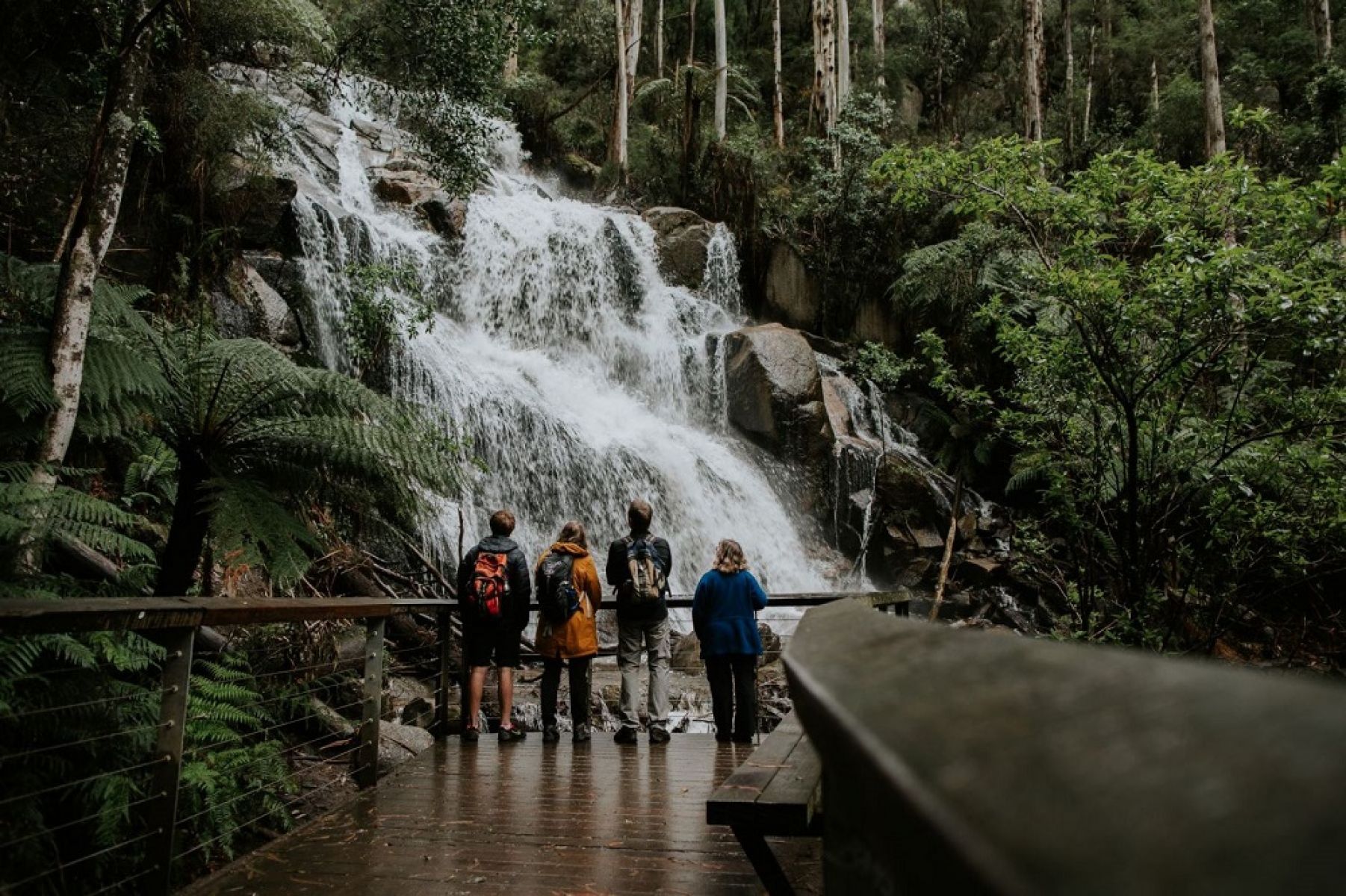 Four people standing in front of a waterfall in the forest. 
