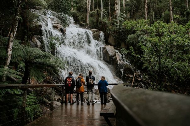Four people standing in front of a waterfall in the forest.