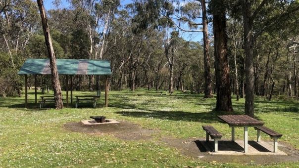 A grassy campsite in the forest with a shelter and picnic table.
