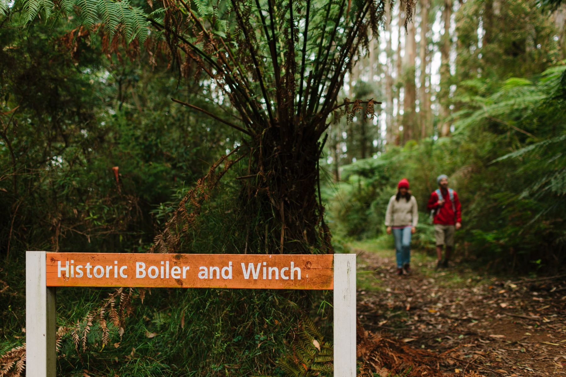Two people walking on a track past a sign in the forest