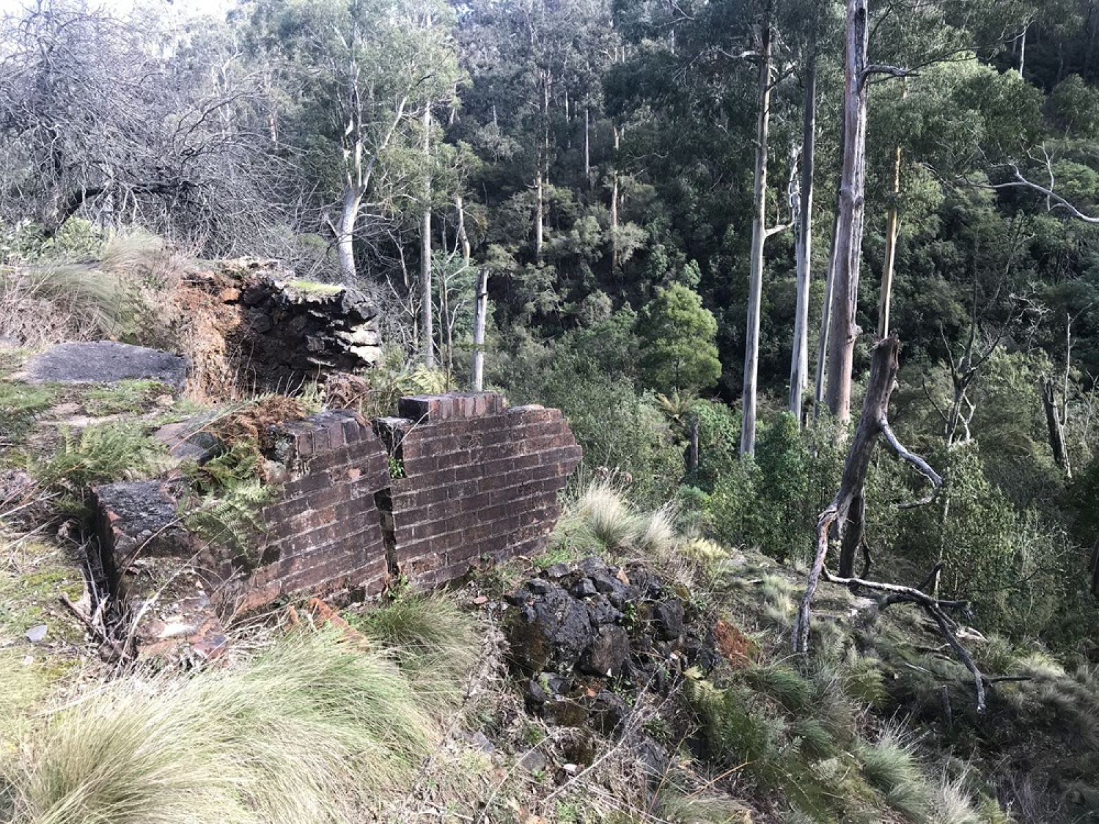 Remains of a brick building surrounded by forest