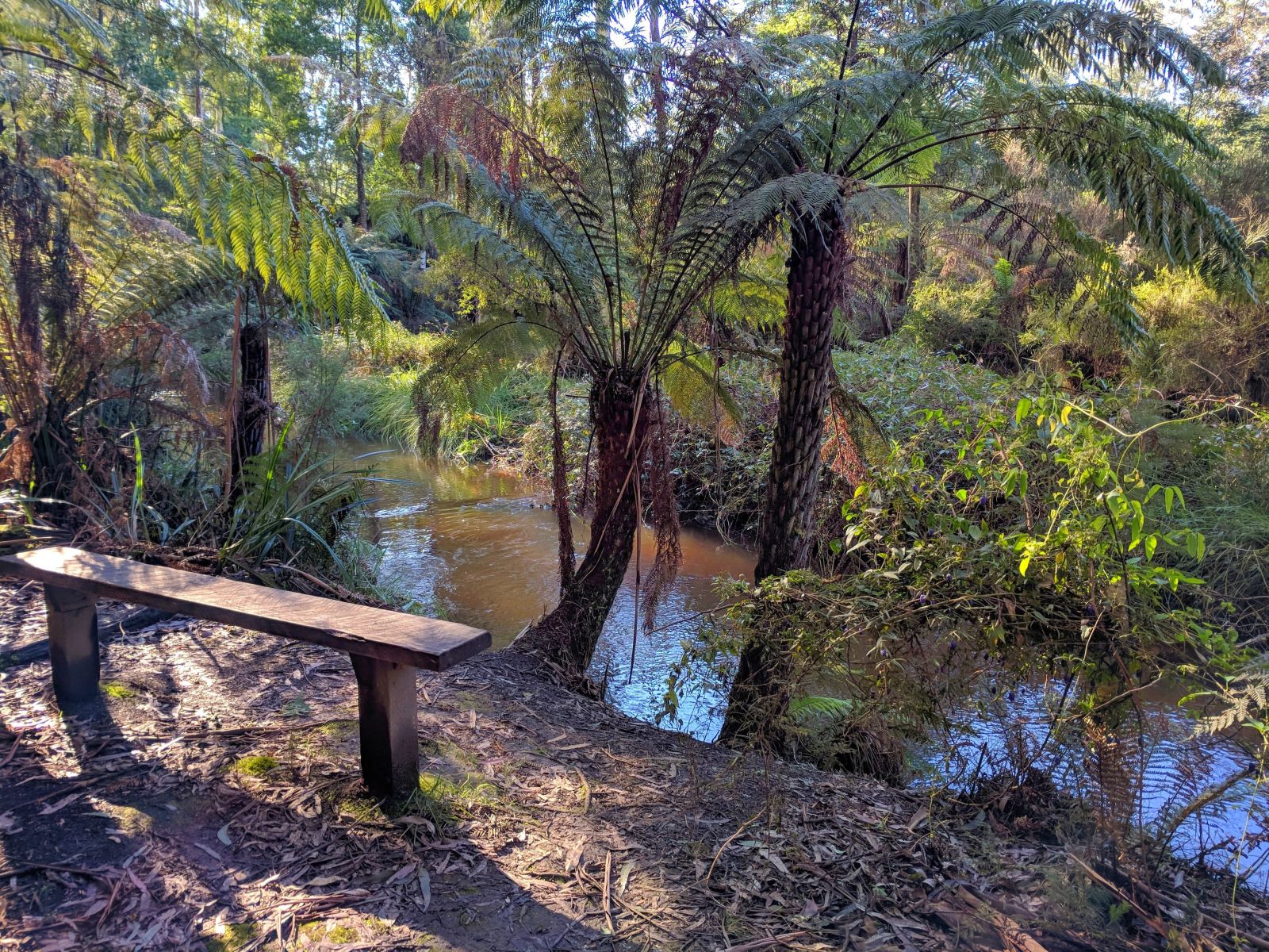 A wooden bench faces the Loch River