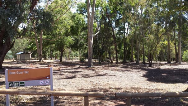 A sign for Blue Gum Flat Campground at the edge of the campground