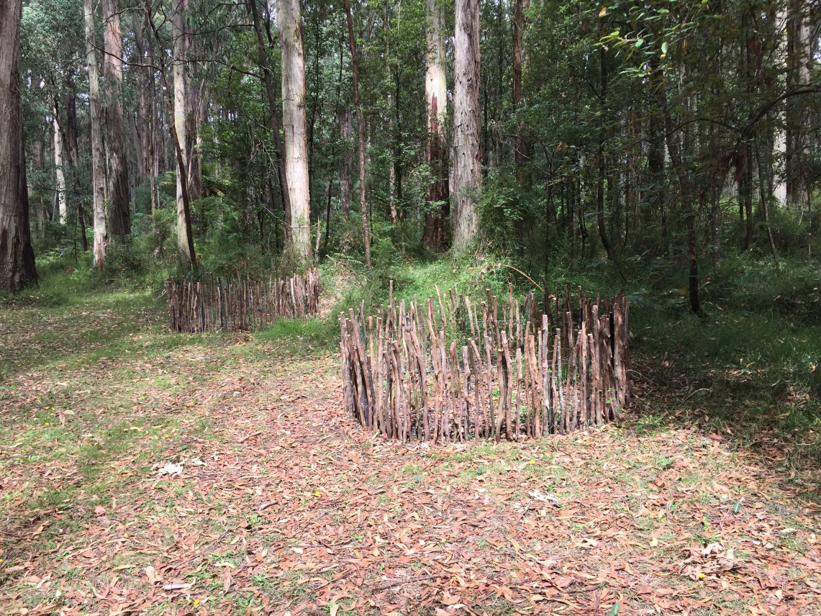 Two artworks made of small branches arranged in circles