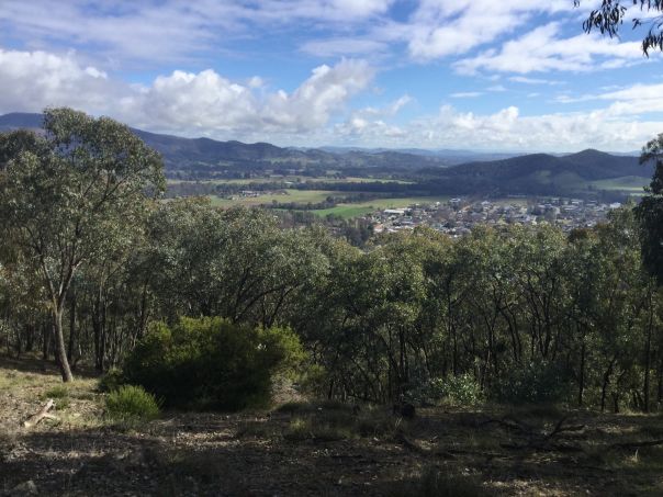 A view over trees to valleys below and hills in the distance