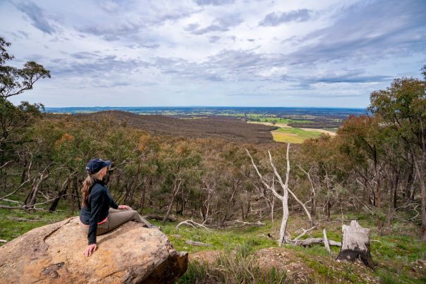 A woman sits on a rock overlooking bushland.