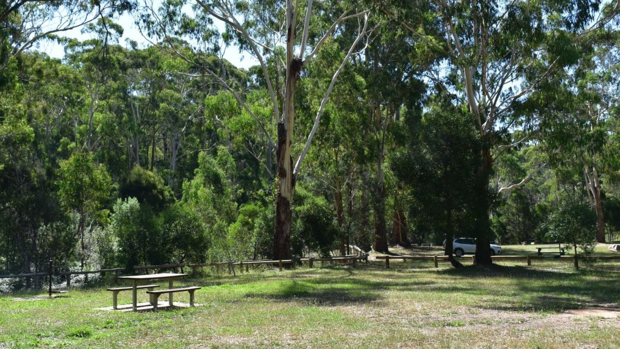 A picnic table in a large grassy field on a sunny day.