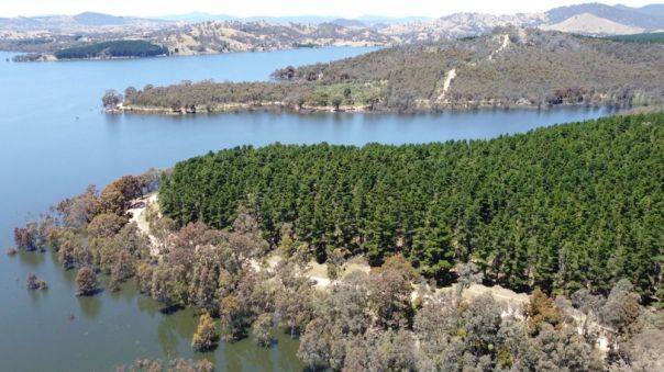 A forest campground surrrounded by water.