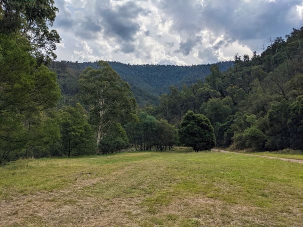 Open grassy area surrounded by trees