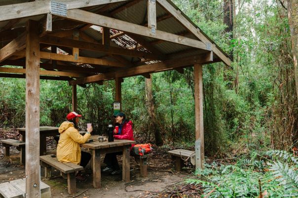 Two people sitting under shelter in the lush forest