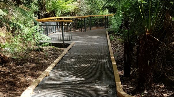 A wooden boardwalk winds through the rainforest