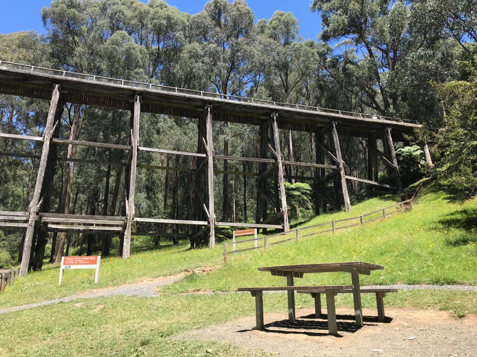 A picnic table on a grassy slope below the Noojee Trestle Bridge