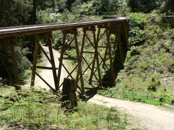 An elevated old trestle bridge that runs through forest