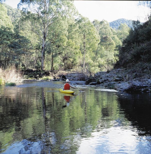 A man kayaking along a river surrounded by trees.