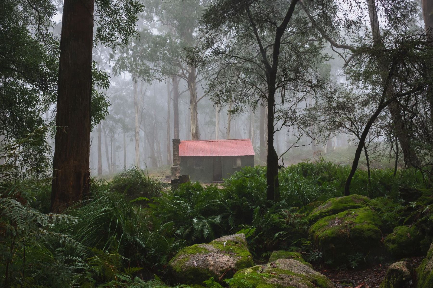 The mugwamp hut in the clearing, surrounded by dense fog