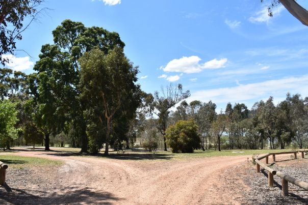 Main entrance to Taylors, with a dirt track splitting into two leading to different camping areas. The shore of Lake Eildon can be seen through the trees. 