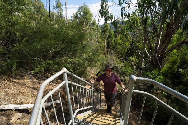 Person walking up stairs in forest
