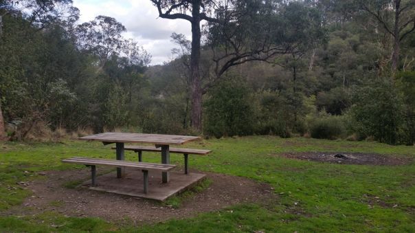 A picnic table and firepit in a open grass area surrounded by trees