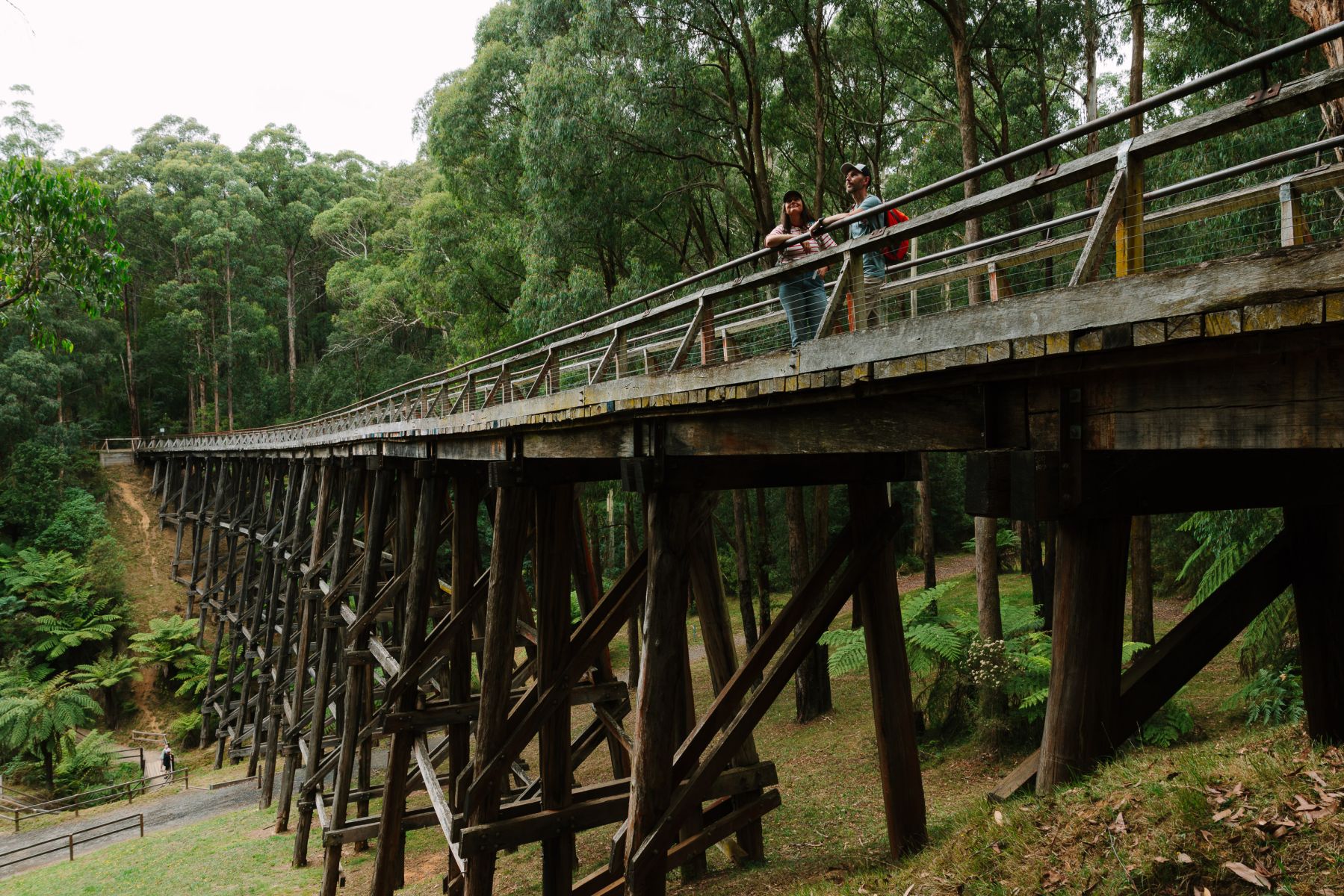 A tall old wooden trestle bridge surrounded by forest