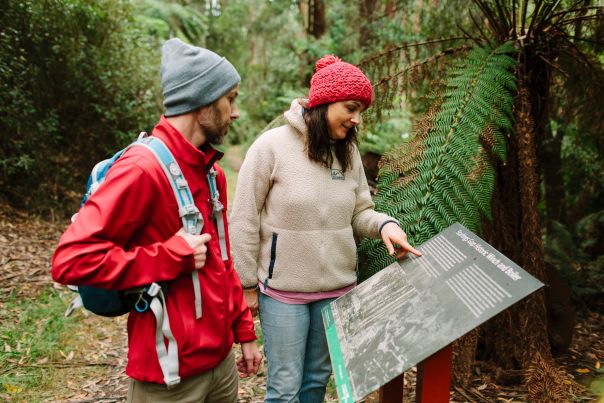 Two people reading a sign in the forest