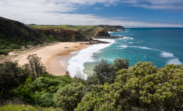 Photograph of bass coast with green cliffs and a sandy beach