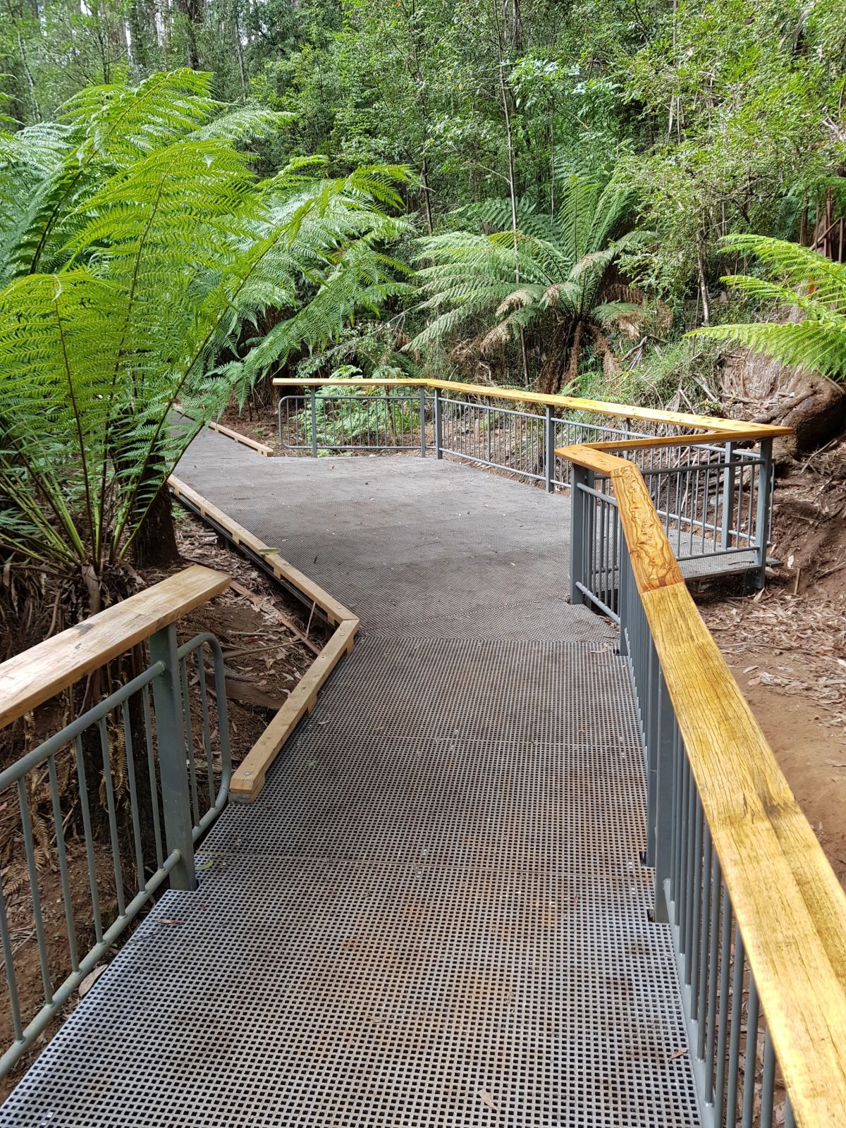 A viewing platform connected to a boardwalk in the rainforest.