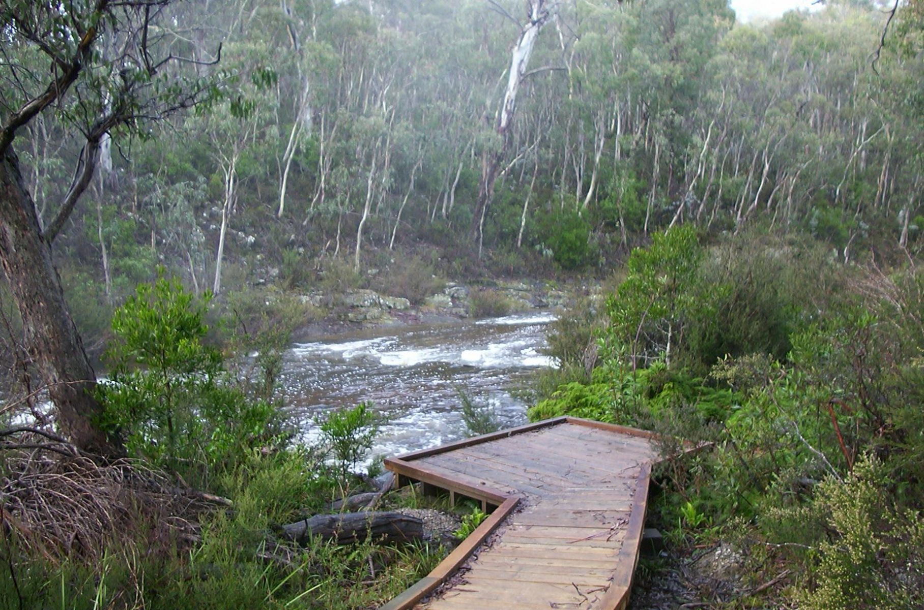 A boardwalk that leads to the Delegate River