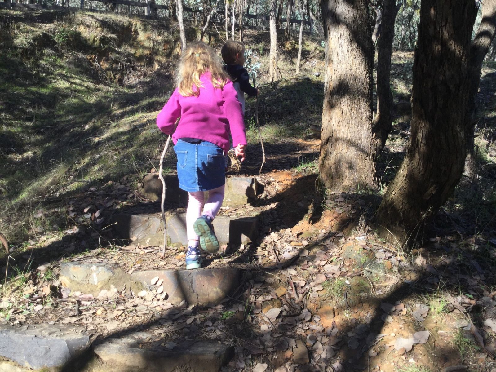 Two small children walk up stone steps through on a nature trail