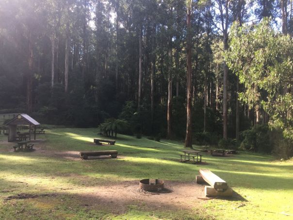 View of Starlings Gap Campground in the sun