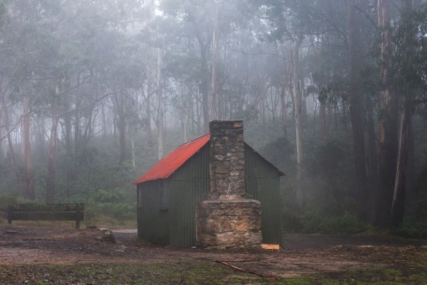 Mugwamp hut in the clearing, surrounded by tall trees and mist