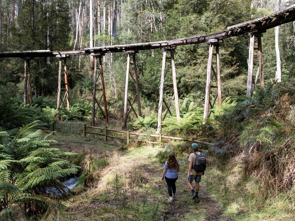 Two people walking through the forest beneath an historic wooden tresetle bridge.   
