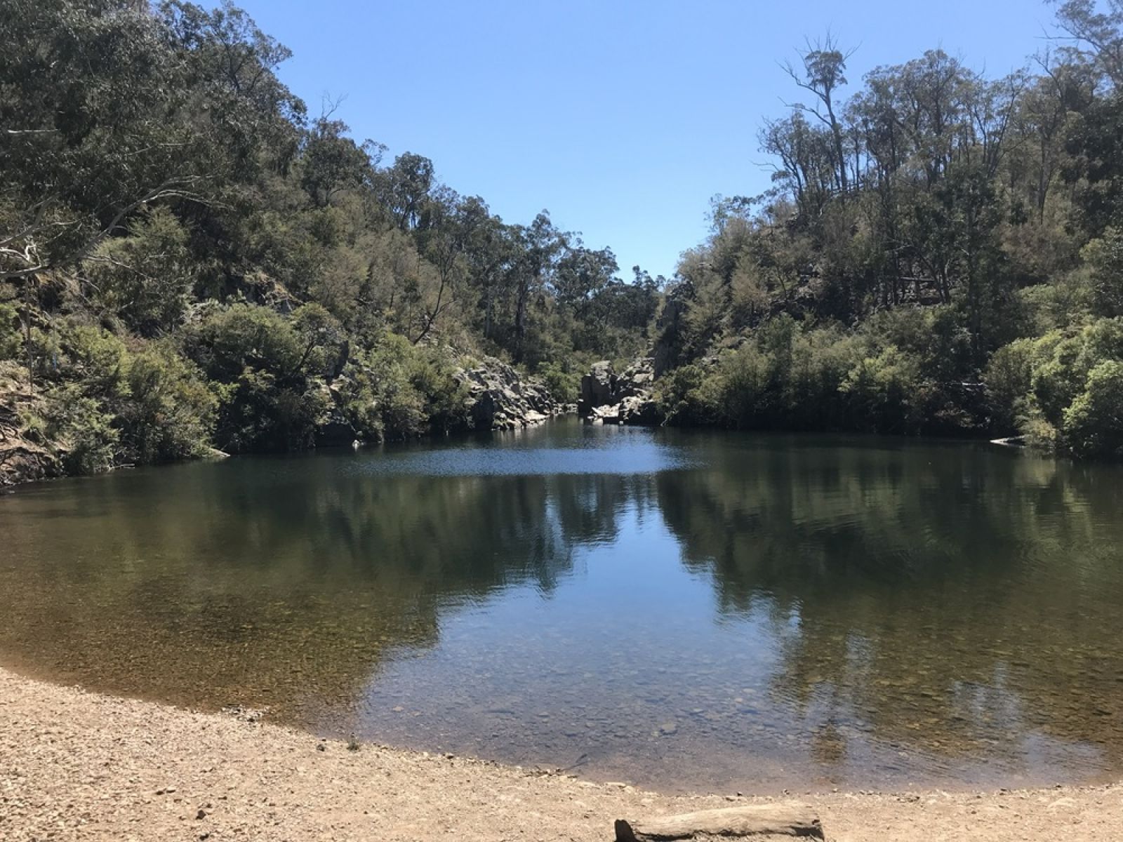 Waterhole surrounded by forest