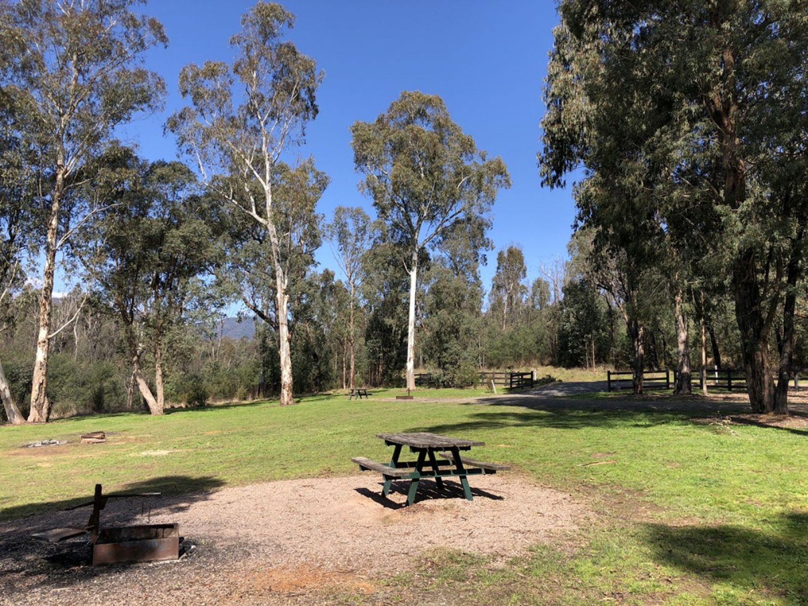 Picnic table in grassy clearing