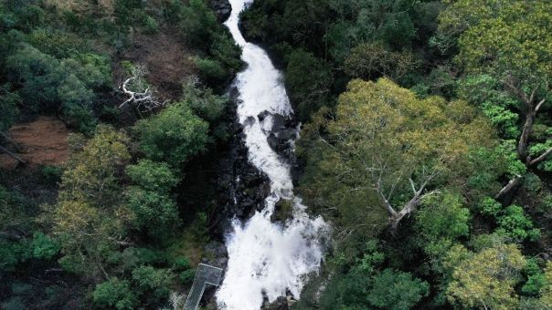 A waterfall flowing through a tree covered forest. 