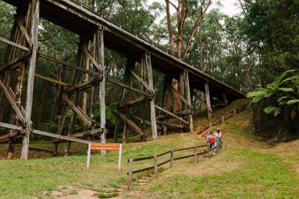 A tall old wooden trestle bridge surrounded by forest