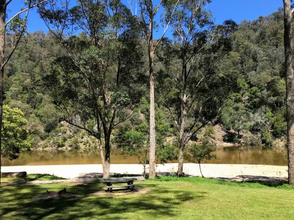 A grassy campground by the river.