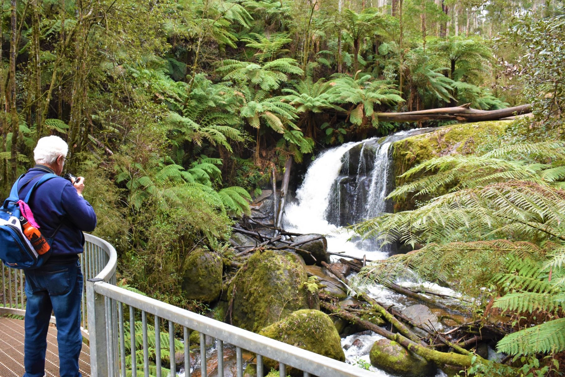 A man takes a photo of Amphitheatre Falls