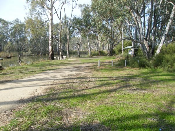 A grassy picnic area next to a creek